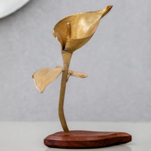 Cala de bronce